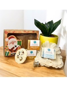 Coffret bulles de Noel| Les Bulles de cassandre
