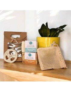 Coffret essentiel| Les bulles de Cassandre