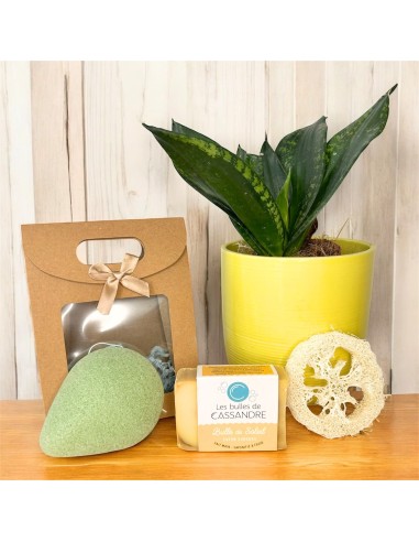 Coffret rituel visage | Les bulles de Cassandre
